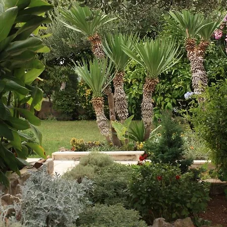 By The Sea Splitska, Brac - 2865 * Postira